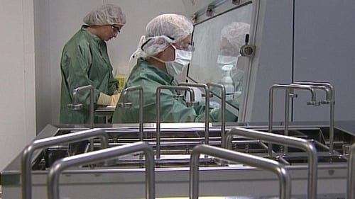 Bristol-Myers Squibb's Swords plant has a workforce of 350