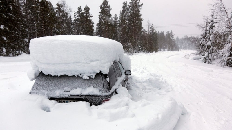 The man was lying on the back seat