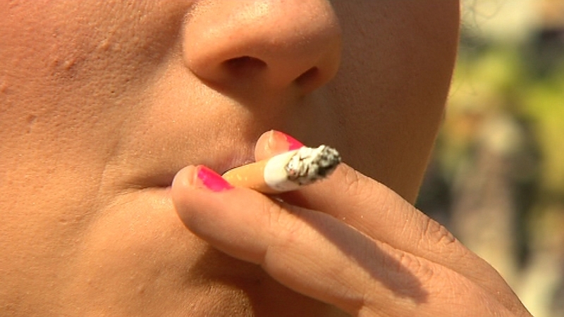 Forest Éireann have criticised James Reilly's plans as dangerous