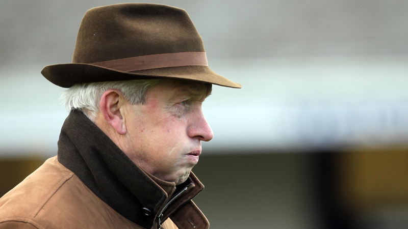 Raz De Maree provided wins for Dessie Hugher at Limerick and Cork recently