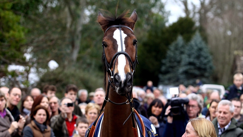 Kauto Star is reported to be in superb form ahead of next month's Cheltenham Gold Cup