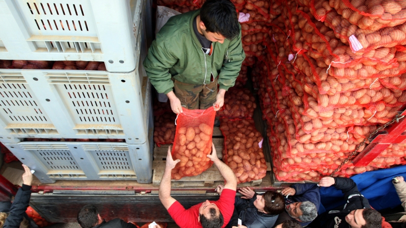 Farmers sell potatoes at cost to customers in Thessaloniki to cut out middlemen