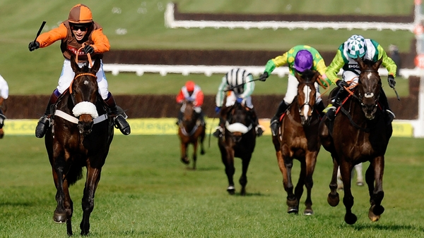 The Cheltenham Gold Cup winner has been out of action since May 2014