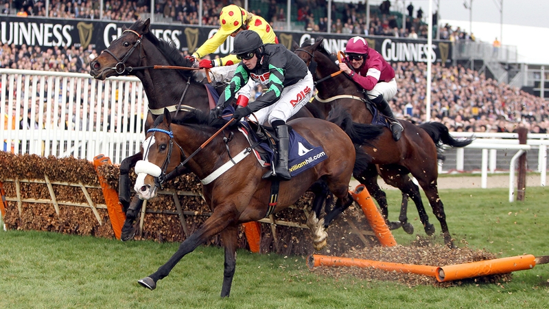 Supreme Novices' Hurdle winner Cinders And Ashes will be aimed at next season's Champion Hurdle