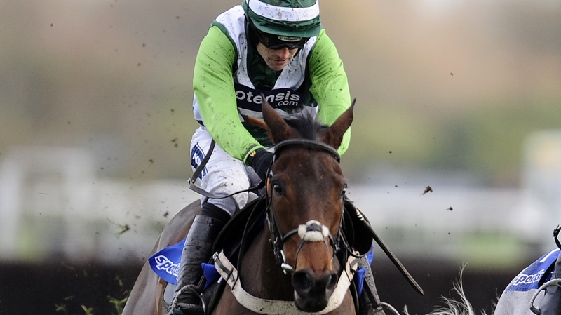 Rock On Ruby will have his next start in the Aintree Hurdle