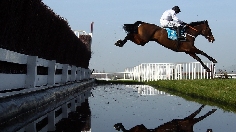 Finian's Rainbow will look to shine again