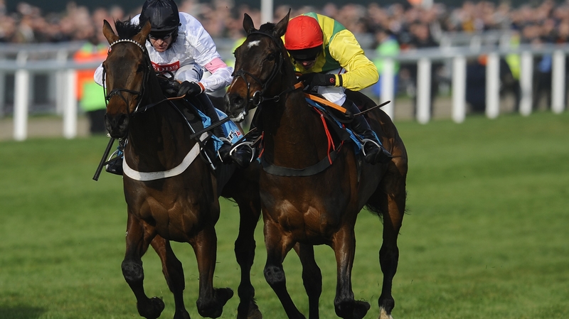 Sizing Europe will next be seen at the Punchestown Festival