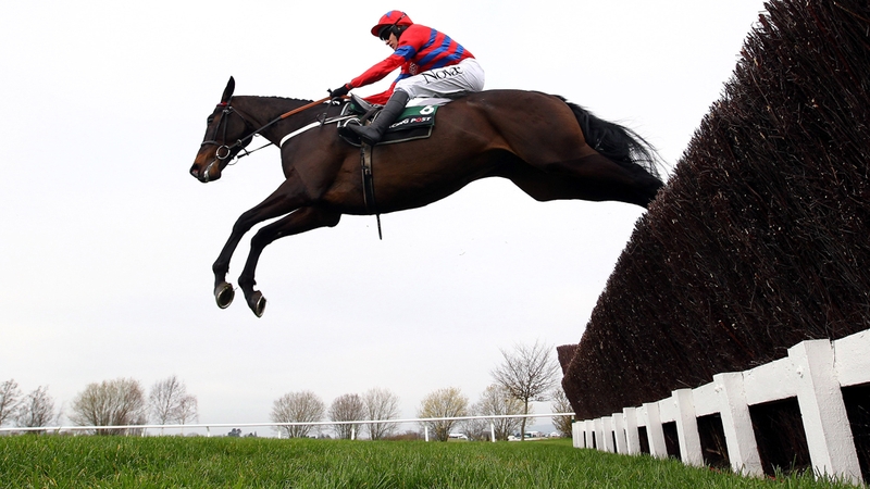 Sprinter Sacre, the horse Nicky Henderson has dubbed the 'big black aeroplane', is unbeaten in nine starts over fences