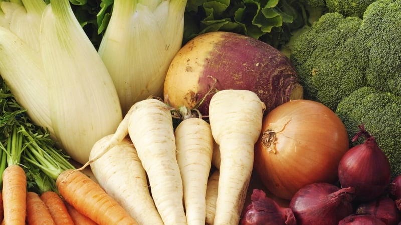 Eunice Power's Chicken, Lemon and Roast Vegetable Tray Bake with Roast Red Pepper Aioli