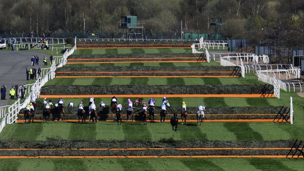 Becauseicouldntsee will return to the Aintree Grand National, where he got no further than the second fence last year