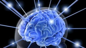 How your brain benefits from word games show image