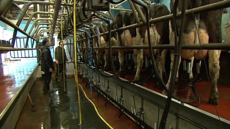 Individual farmers have been notified by their co-ops