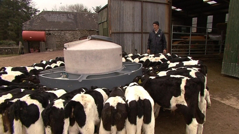 Next year will see the removal of European milk quotas