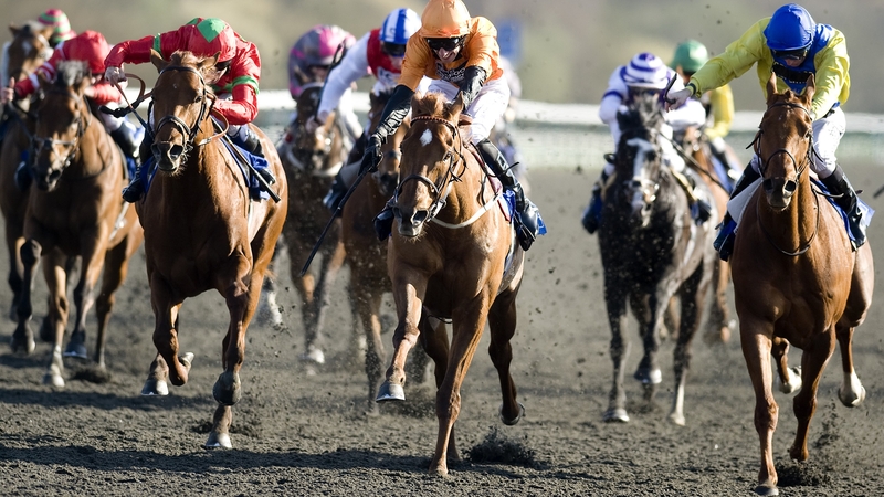 Premio Loco’s potent turn of foot has always made him an ideal type for Polytrack