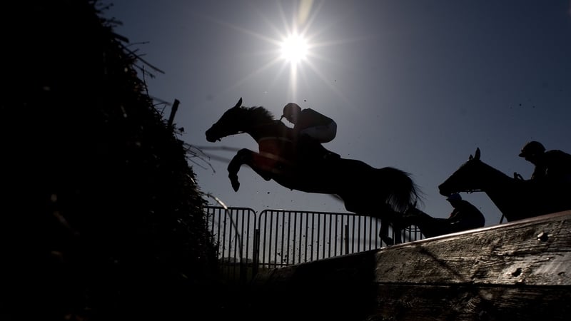 On Friday 1 May, Horse Sport Ireland confirmed that they had submitted proposals to the Government