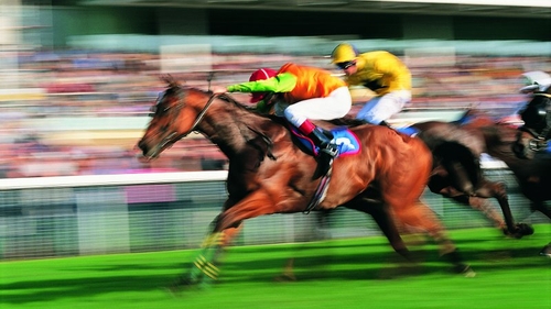 Punchestown festival in Co. Kildare takes place at the end of this month!
