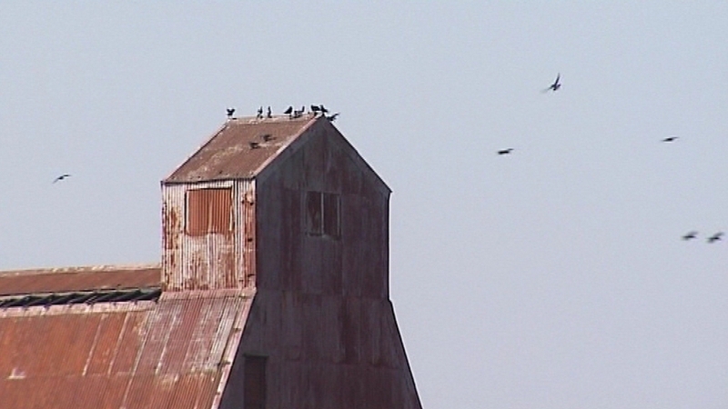 Temporary restriction zones continue around two gun clubs in Co Cork