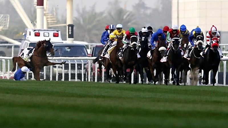 The unfortunate incident where Fox Hunt broke down during the Gold Cup in Dubai