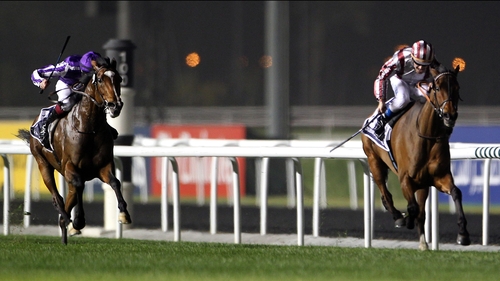 Cirrus des Aigles (right) will go in the Investec Coronation Cup