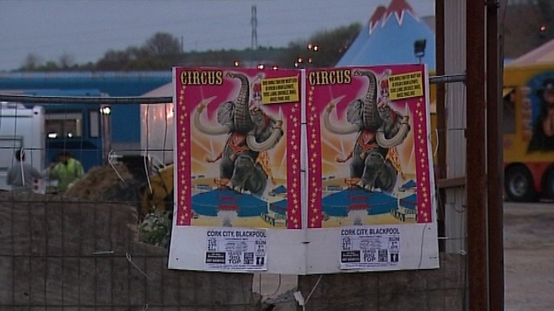 Paramedics treated the man at the scene