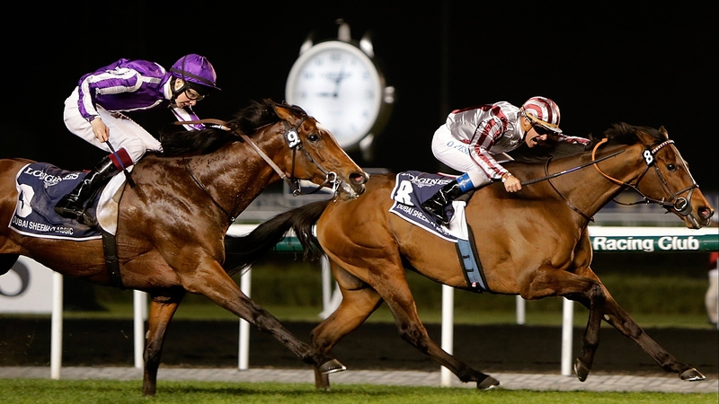 Cirrus Des Aigles, seen here holding off St Nicholas Abbey in the Dubai Sheema Classic, could be set for a busy summer in Britain