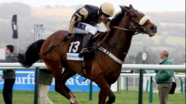 Paul Nicholls: "I've got a few entries in the race but Tidal Bay could be an interesting one"