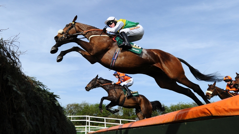 Eventual winner Ballabriggs jumps the water during the 2011 John Smith's Grand National