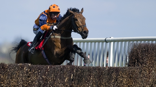 Punchestown Gold Cup winner Follow The Plan was allowed to return at 50-1 despite outrunning his odds in last year’s renewal of the race