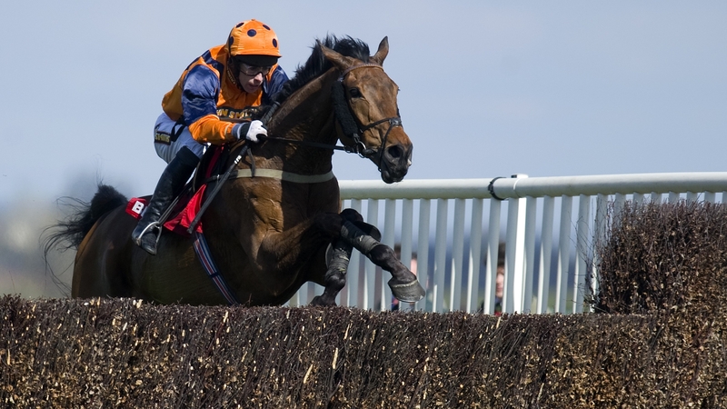 Punchestown Gold Cup winner Follow The Plan was allowed to return at 50-1 despite outrunning his odds in last year’s renewal of the race
