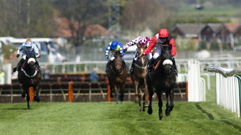 Big Buck's will miss this year's Cheltenham festival