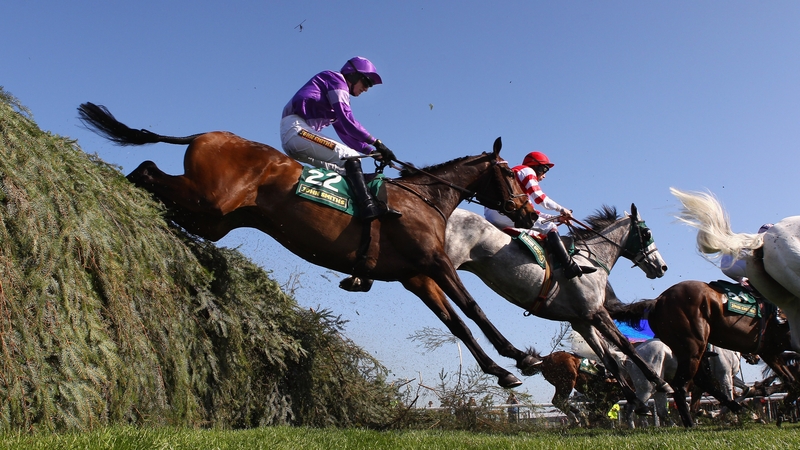 Always Waining (purple) yet again showed his affinity for the big fences