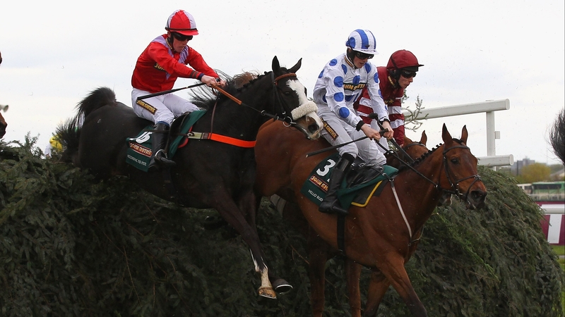 The Malcolm Jefferson-trained According To Pete (l) had to be put down after suffering an injury when brought down in the Grand National