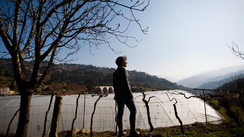 Joana Mendes at her father's farm in Marco de Canaveses, northern Portugal