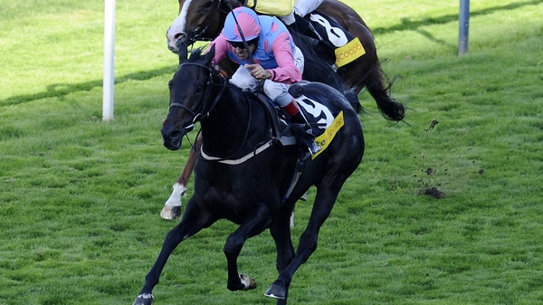 Pastoral Player will run in the Betfred Victoria Cup