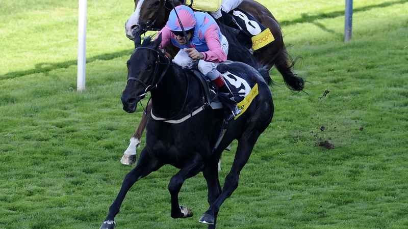 Pastoral Player will run in the Betfred Victoria Cup