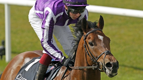Joseph O'Brien wins on Excelebration
