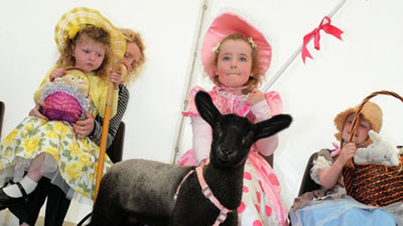 Little Bo Peep competition