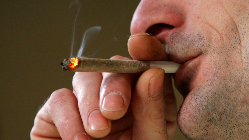 A large consignment of cannabis has been seized in Dublin