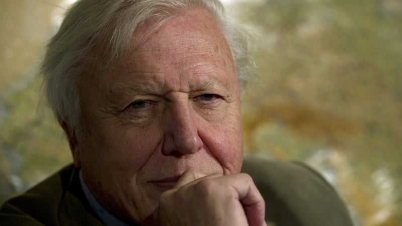 David Attenborough: Going back into the jungle