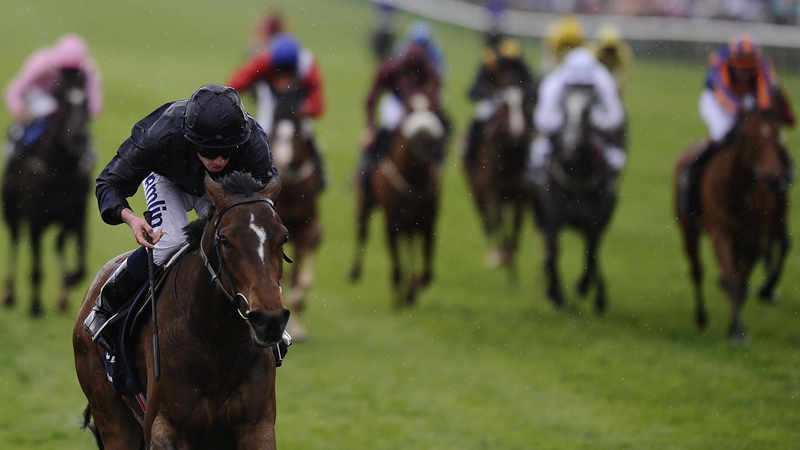 A clearly unfit Homecoming Queen had finished ninth of 11 on her seasonal debut in the Park Express Stakes at the Curragh, before taking the Leopardstown 1000 Guineas Trial last time out
