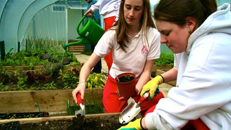 Some of the students growing their business from the ground up