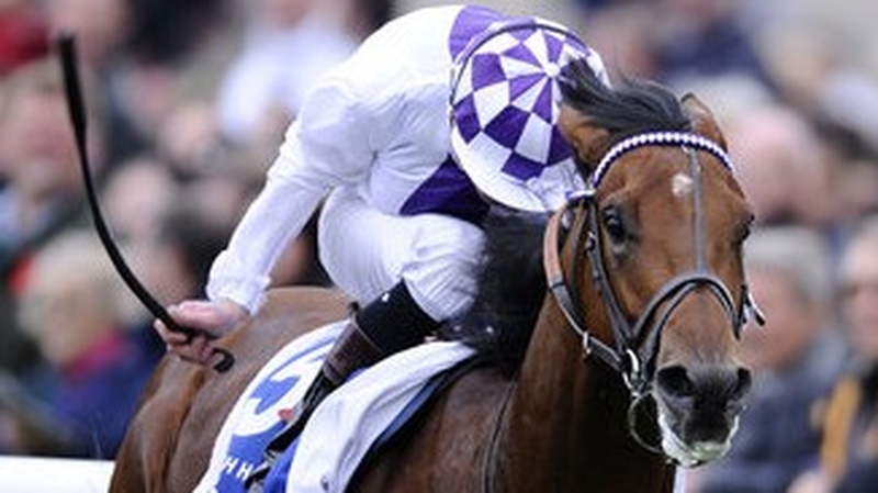 Kevin Manning partnered Parish Hall to victory in last October's Dewhurst Stakes