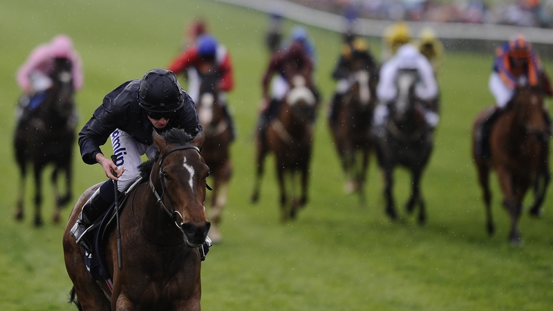 Homecoming Queen lead the field a merry dance as she triumphed at Newmarket