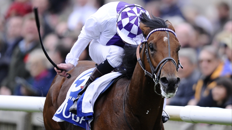 Parish Hall has picked up a leg infection and misses the 2000 Guineas and the upcoming Epsom Derby
