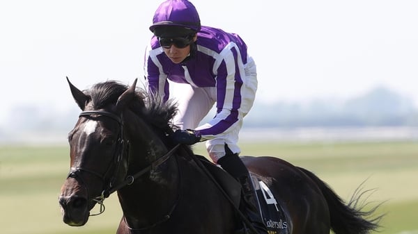 So You Think retained the Tattersalls Gold Cup at prohibitive odds of 2-11