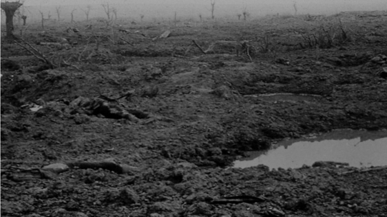 No Man's Land