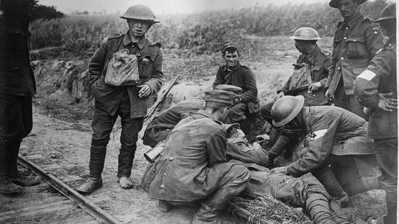 The Irish Brigades In The First World War