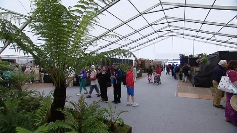 The Bloom festival is now in its sixth year