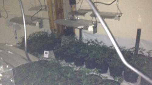 Gardaí seized cannabis from a house in Cummer