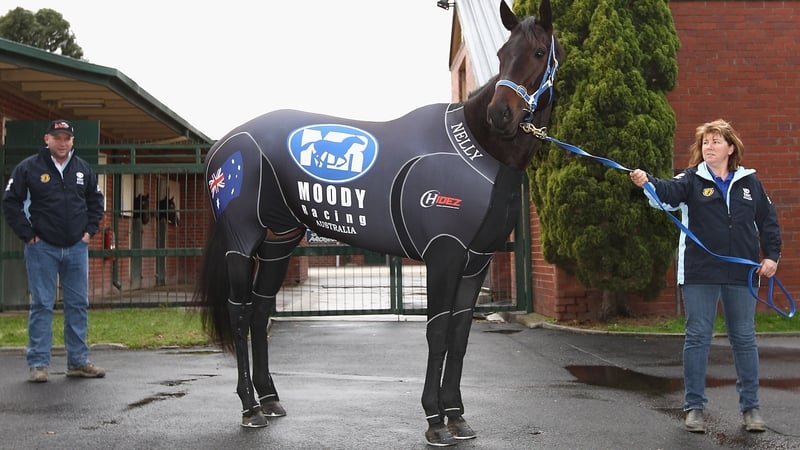 Black Caviar looked even more imposing than usual when paraded in her compression suit as she prepared to leave Caufield